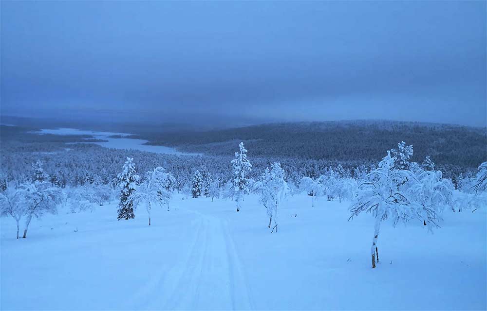 single-snowmobile-safari